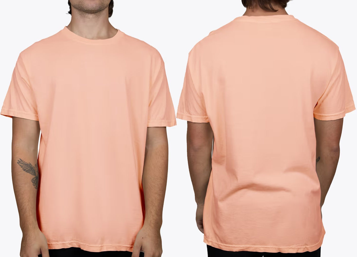 https://i.ebayimg.com/00/s/MTA4MFgxNTAx/z/OcIAAeSwAzZqcXNP/$_57.JPG?set_id=880000500F